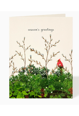 Felix Doolittle Cardinal & Evergreen Holiday Card