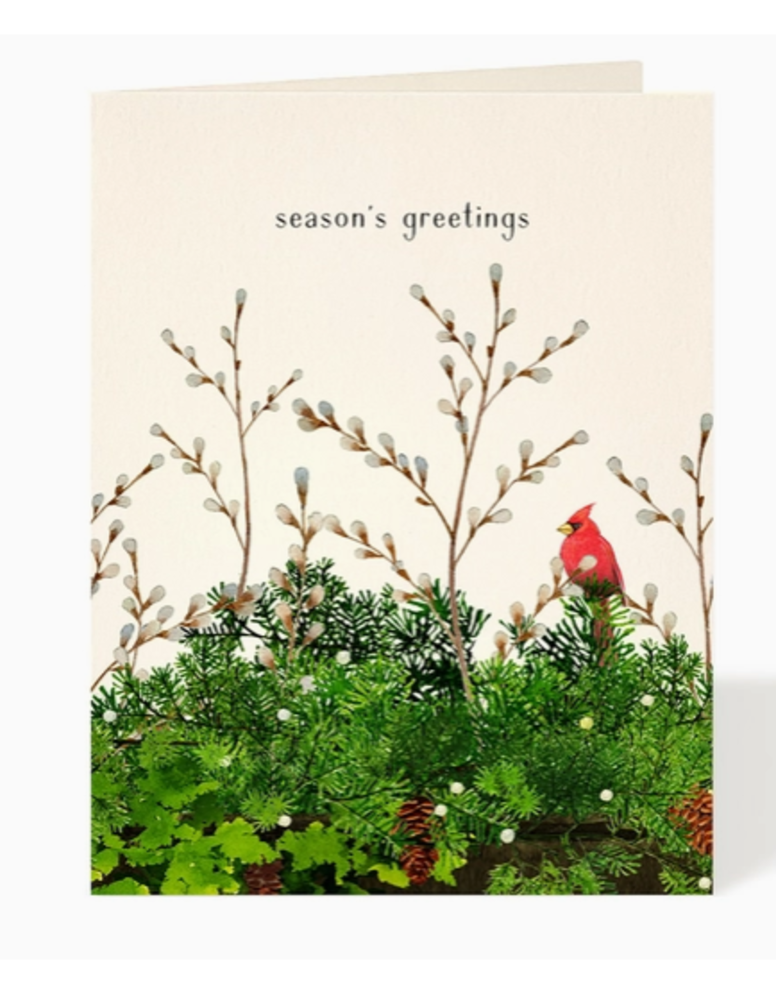 Felix Doolittle Cardinal & Evergreen Holiday Card