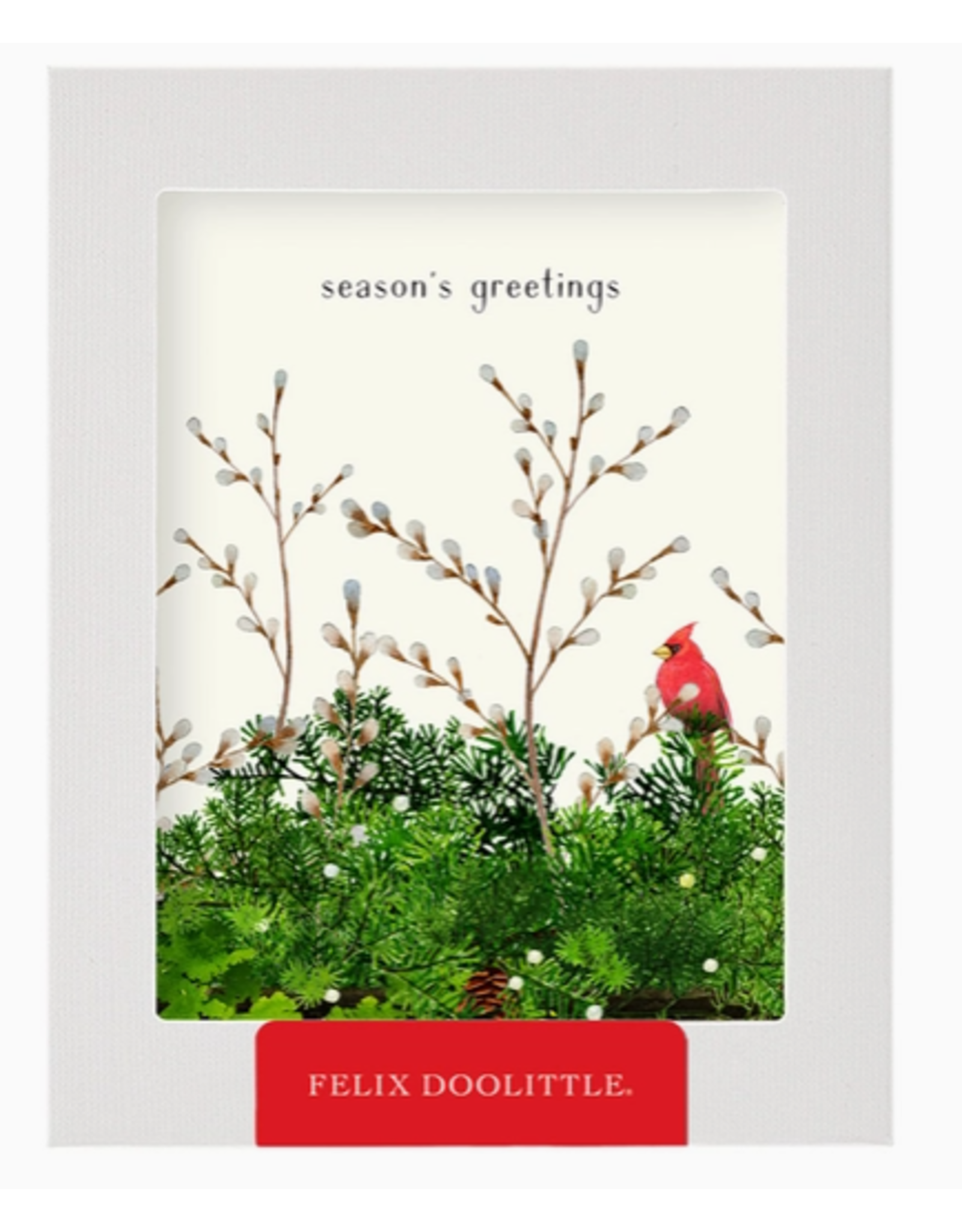 Felix Doolittle Cardinal & Evergreen Boxed Cards - Set of 8