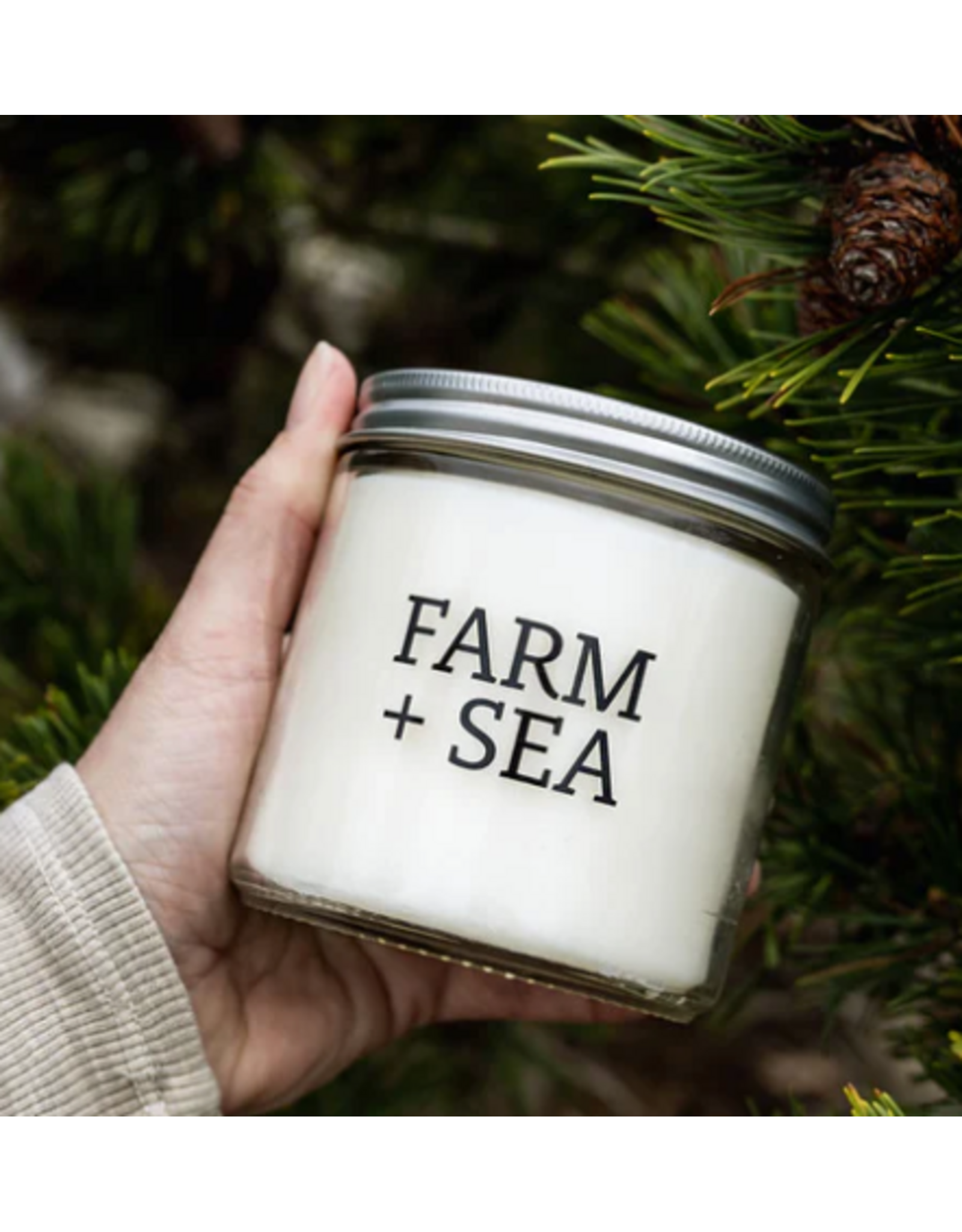 Farm + Sea Clove Candle by Farm + Sea Large