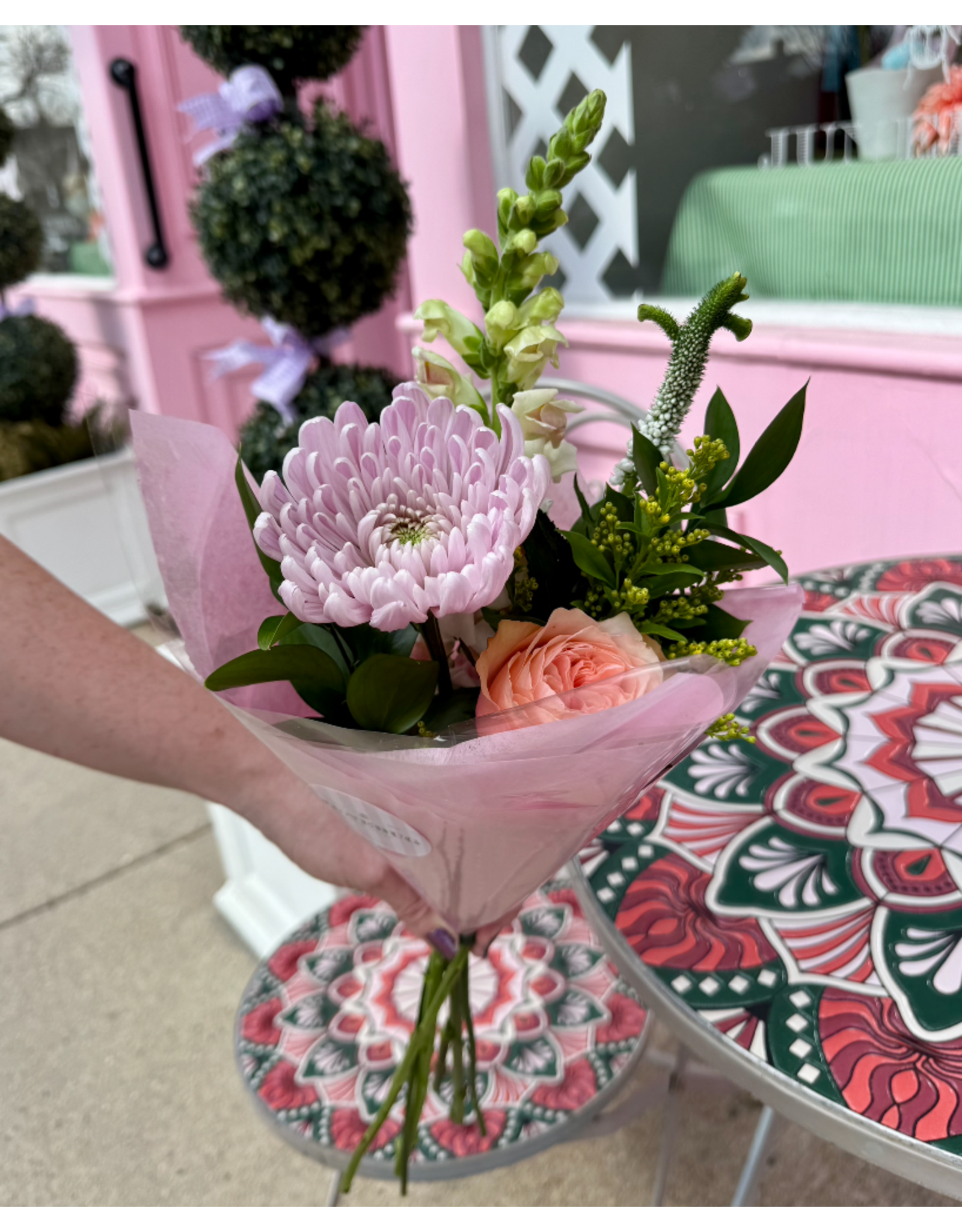 Mini Movers "Tiny Dancer" Special (May 12th - May 18th)