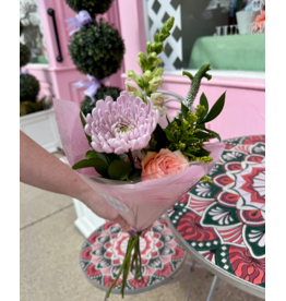 Junebug Mini Movers "Tiny Dancer" Special (May 12th - May 18th)