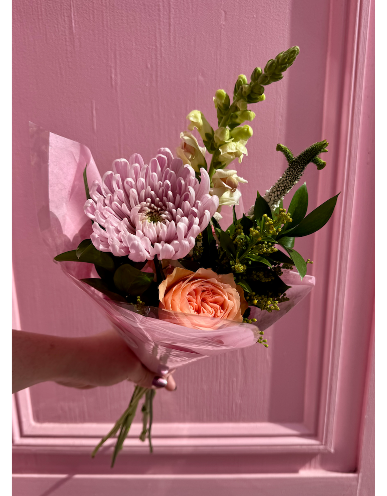 Mini Movers "Tiny Dancer" Special (May 12th - May 18th)