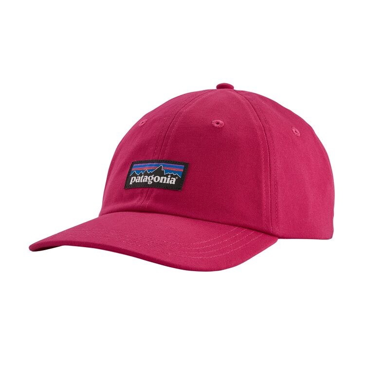 patagonia p6 label trad cap