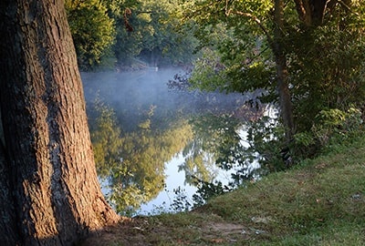 Fly Fishing the Elkhorn Creek