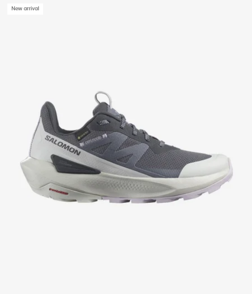靴 SALOMON ELIXIR GTX Salomon Elixir GTX - Multisport shoes Men's | Free EU