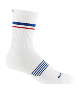 Darn Tough Vermont Men's 1118 Element Micro Crew Lightweight with Cushion