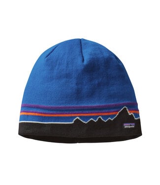 Patagonia Beanie Hat