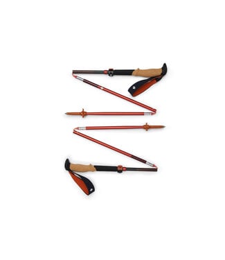 Black Diamond Pursuit FLZ Trekking Poles
