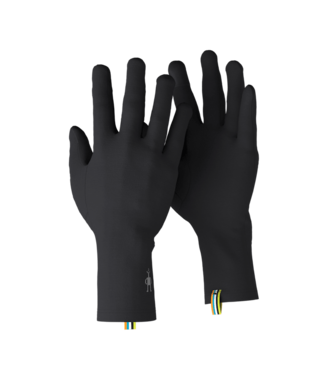 Smartwool Merino Glove