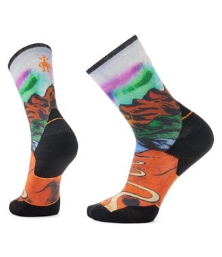 Smartwool Men's Trail Run Targeted Cushion Singletrack Print Crew Socks