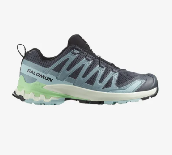 国内配送 SALOMON W XA PRO 3D V9 GTX PLUM KITTEN/BLACK Salomon XA Pro 3D V9 GTX Women's Hiking Shoes - Plum Kitten
