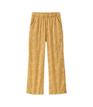 Patagonia Women's Garden Island Pants