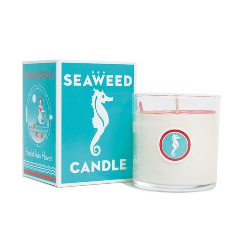 kalastyle Swedish Dream® Seaweed Candle