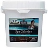 Natural Chemistry Spa Chlorine Granuals 5lbs.