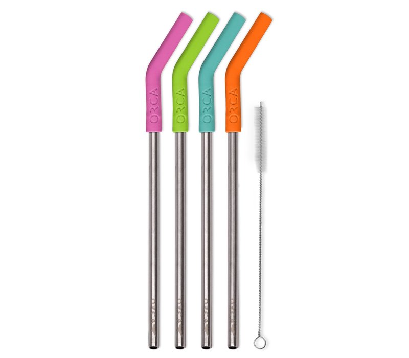 Tropical Color Stainless Steel Straw