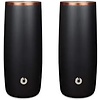 Stainless Steel Highball Glass, Set of 2 - Black/Gold