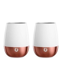 Stainless Steel Pinot Noir Wine Glass, Set of 2 - White/Gold Dip