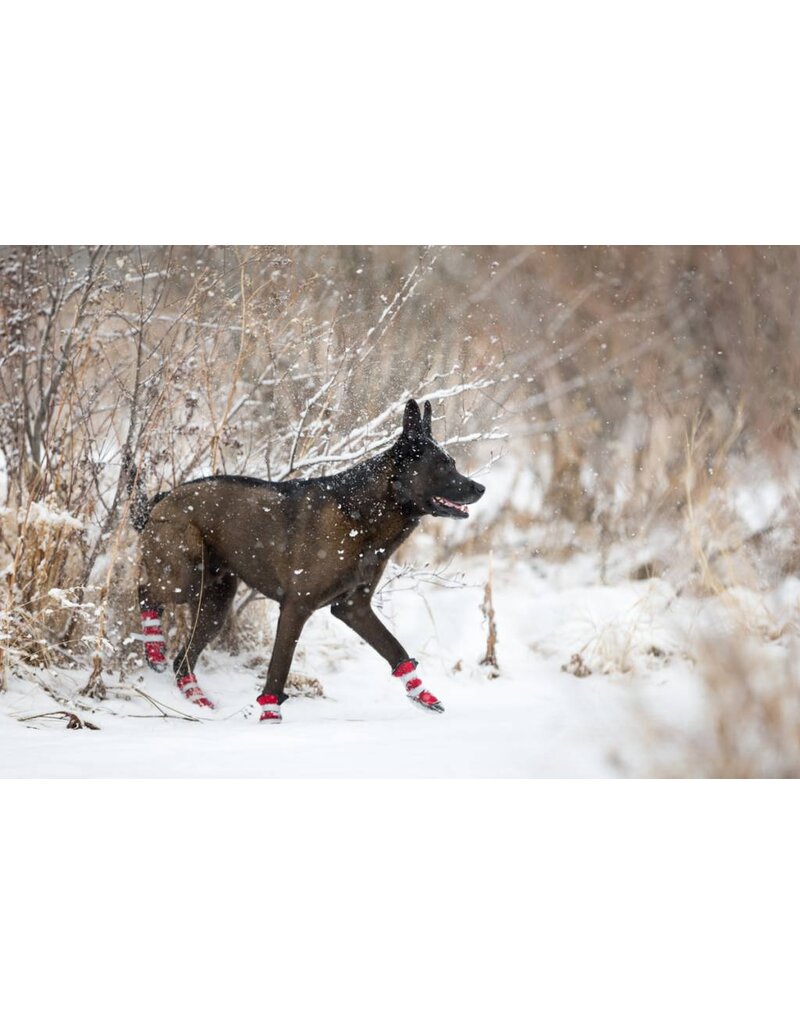 Pawsh Pads Pawsh Pads Boots