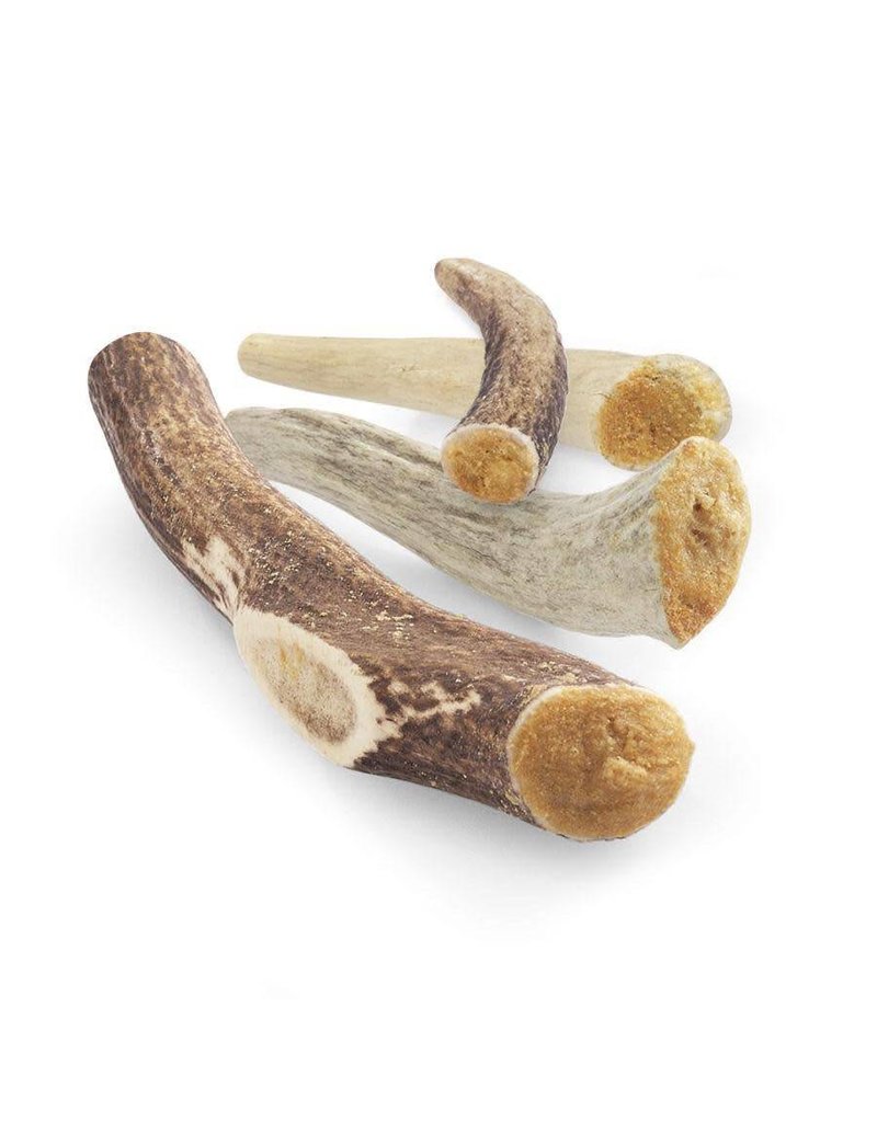 Nature's Own Whole Elk Antler
