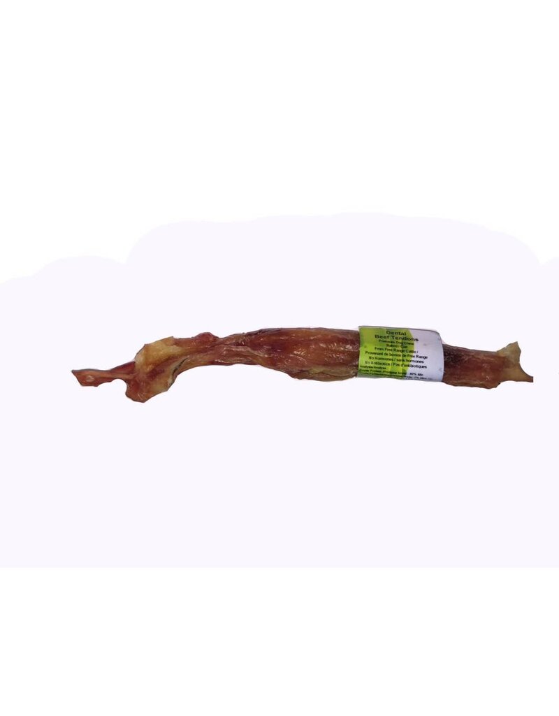 Nature's Own Beef Tendon 9"