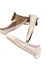 Nature's Own Moose Antler