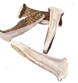 Nature's Own Moose Antler