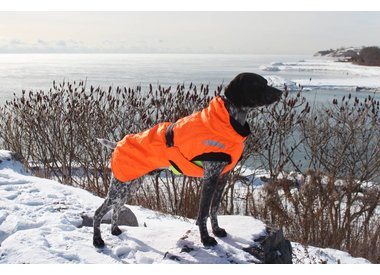 Winter Wear