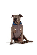 Gold Paw Series Duluth Double Fleece Pullover