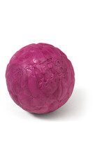 West Paw Boz Dog Ball