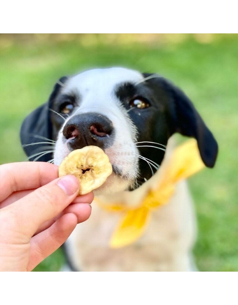 Healthybud Banana Chips 130 g