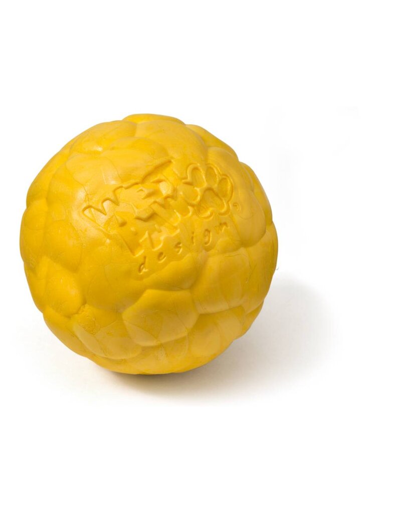 West Paw Boz Dog Ball