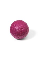 West Paw Boz Dog Ball