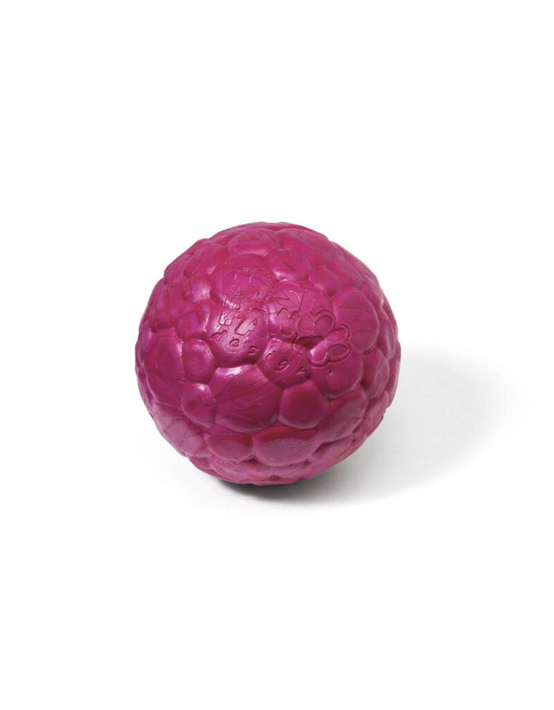 West Paw Boz Dog Ball