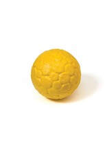 West Paw Boz Dog Ball