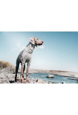 Hurtta Hurtta Body Warmer Carbon Grey
