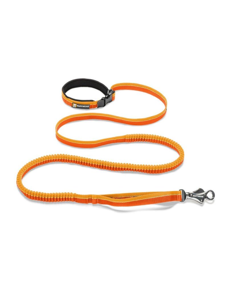 Ruffwear Roamer Leash