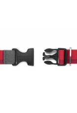 Ruffwear Roamer Leash