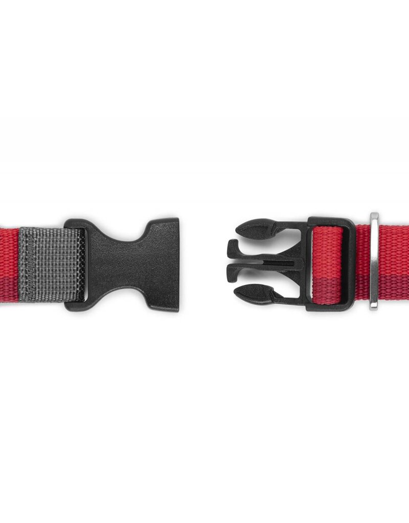 Ruffwear Roamer Leash