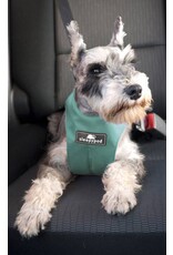 Sleepypod Click-It Sport Car Harness