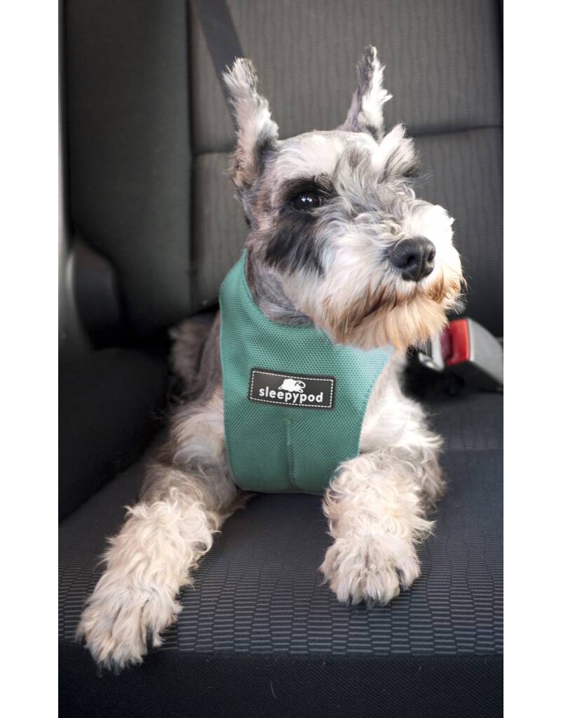 Sleepypod Click-It Sport Car Harness