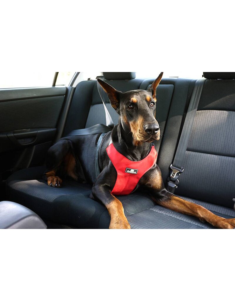 Sleepypod Click-It Sport Car Harness