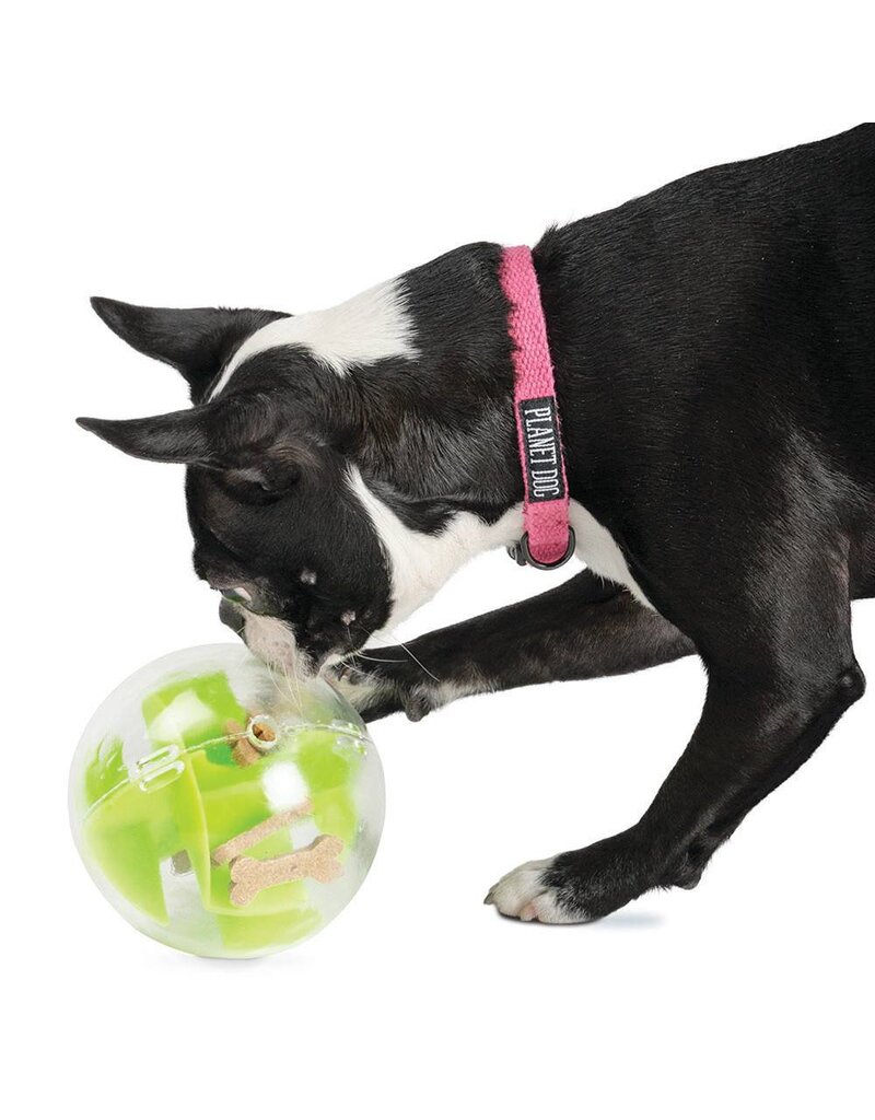 Planet Dog Orbee-Tuff Mazee
