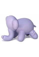 Charming Pet Balloon Elephant