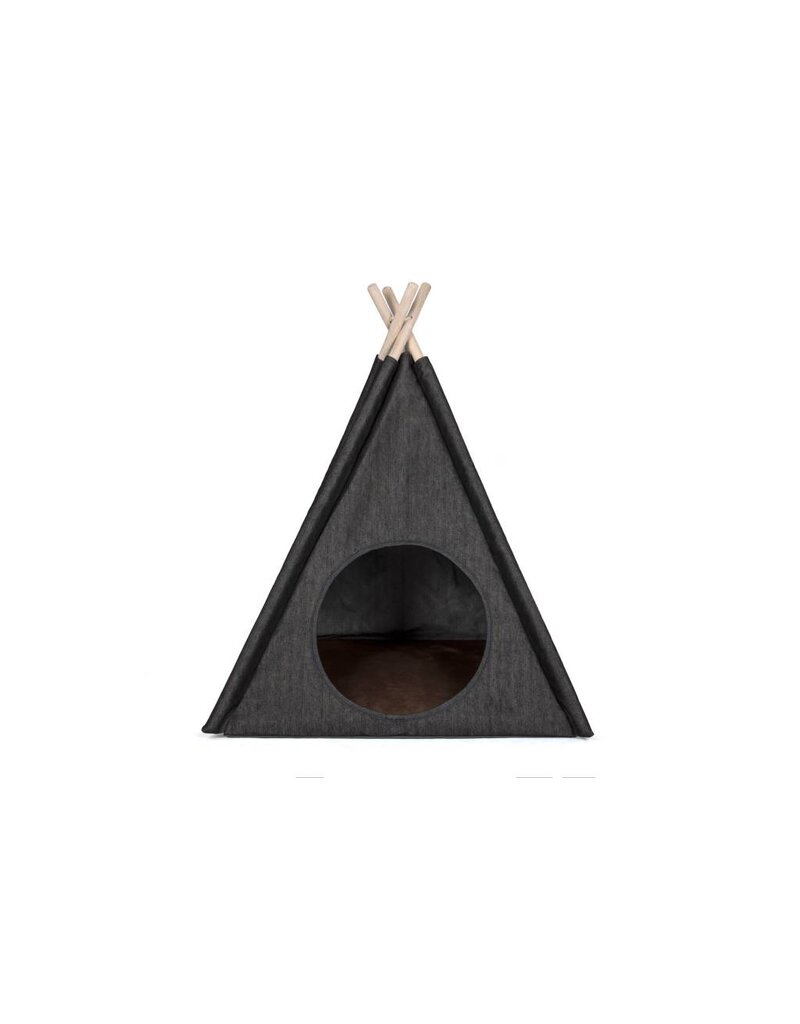 Pet P.L.A.Y. Teepee