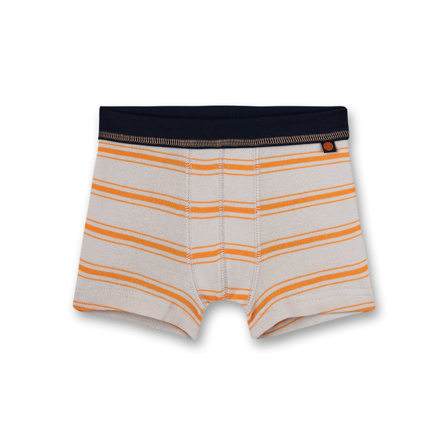 SANETTA Boys shorts yellow-ringed Dino