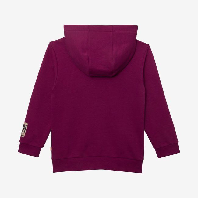 CATIMINI Boys' purple sweatshirt