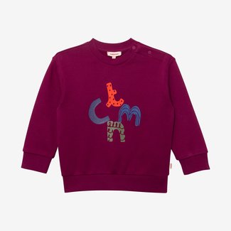 CATIMINI Toddler boys' purple sweatshirt