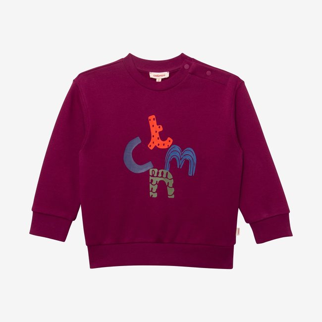 CATIMINI Toddler boys' purple sweatshirt