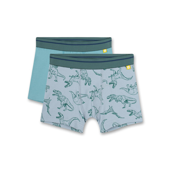SANETTA Boy's Hip Shorts (Twin Pack) Green